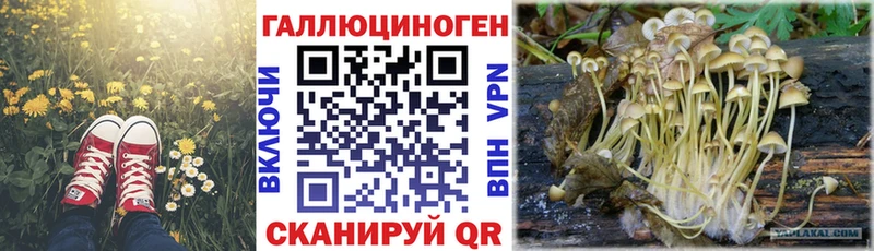 дарнет шоп  Ильский  Псилоцибиновые грибы ЛСД 